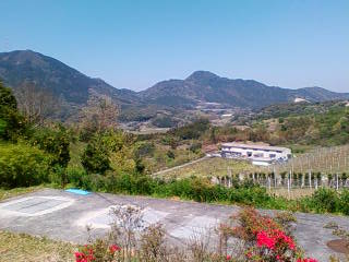春を訪ねて_e0170671_2140593.jpg