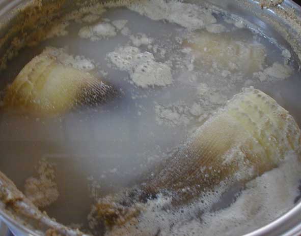 e0126576_1146207.jpg