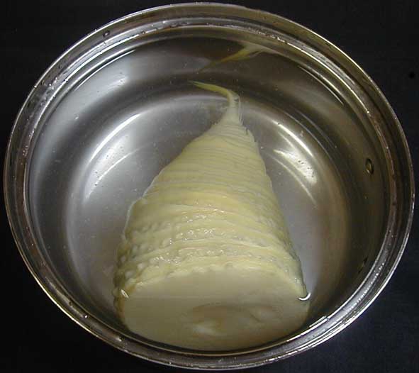 e0126576_1155536.jpg