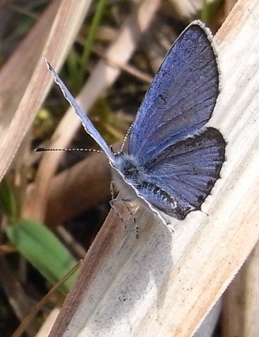 a0061977_2264714.jpg