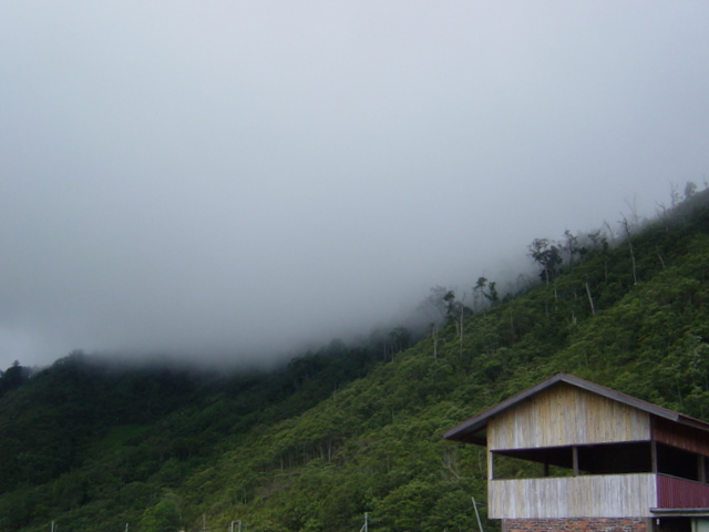 f0008679_84162.jpg