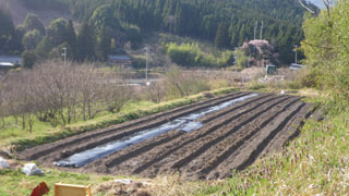 c0168780_21145877.jpg