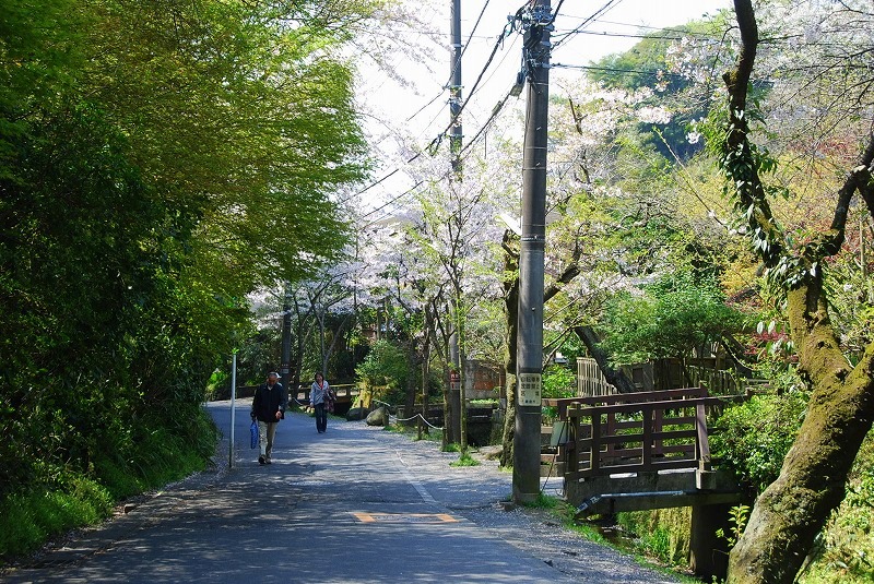 鎌倉、与野公園他、写真、歌あれこれ_c0187781_11254533.jpg