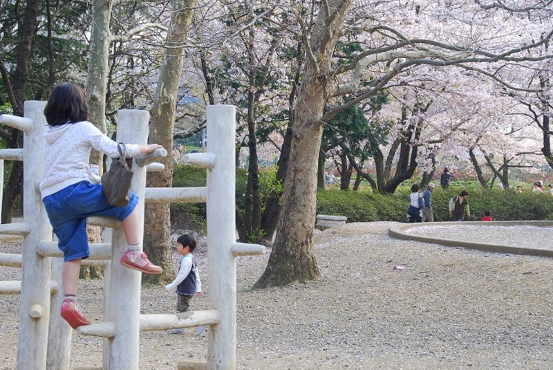 鎌倉、与野公園他、写真、歌あれこれ_c0187781_114493.jpg