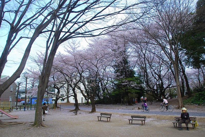 鎌倉、与野公園他、写真、歌あれこれ_c0187781_1154194.jpg