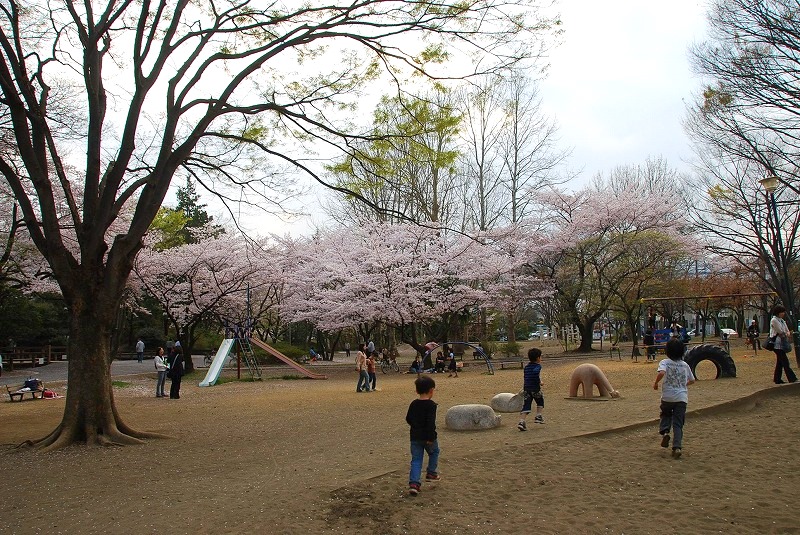 鎌倉、与野公園他、写真、歌あれこれ_c0187781_1154943.jpg