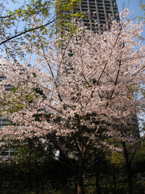 f0091785_155086.jpg