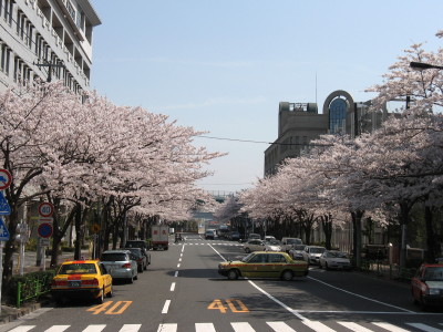 f0091785_1562345.jpg
