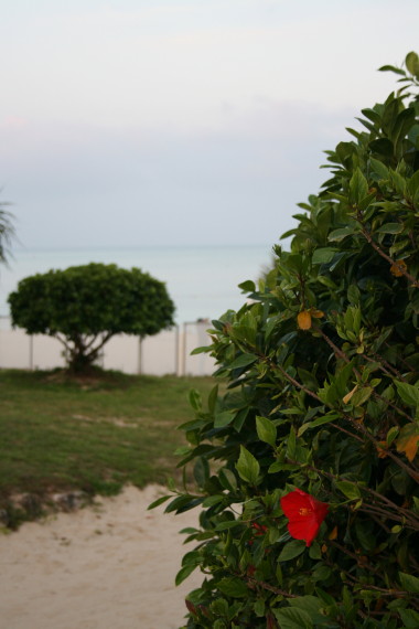 b0143686_11213394.jpg