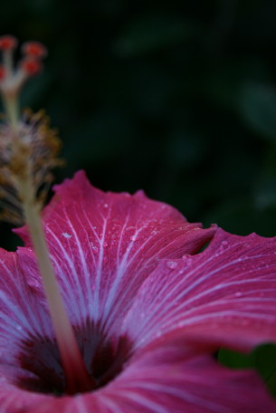 b0143686_11395459.jpg