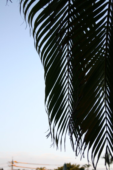 b0143686_11472742.jpg