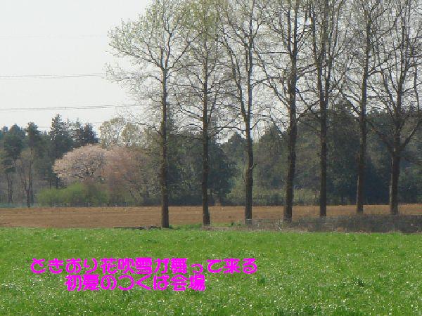 b0101991_6255234.jpg