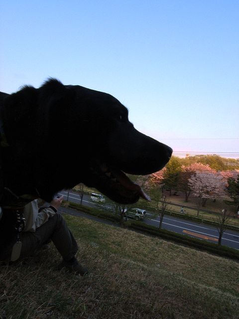 a0093592_0344237.jpg