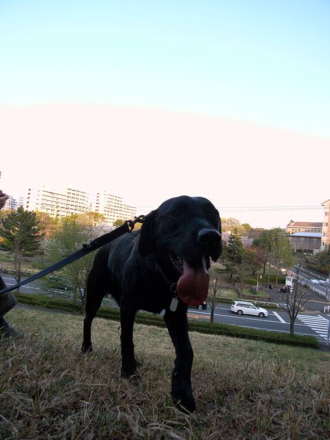 a0093592_0371744.jpg