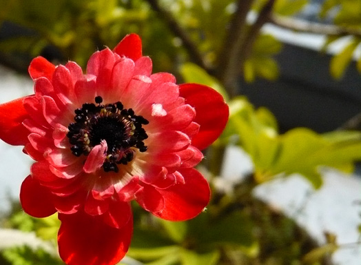 c0124998_22591672.jpg