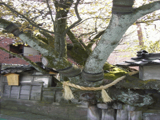 d0133199_21581883.gif