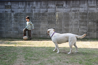 d0091700_19554937.jpg