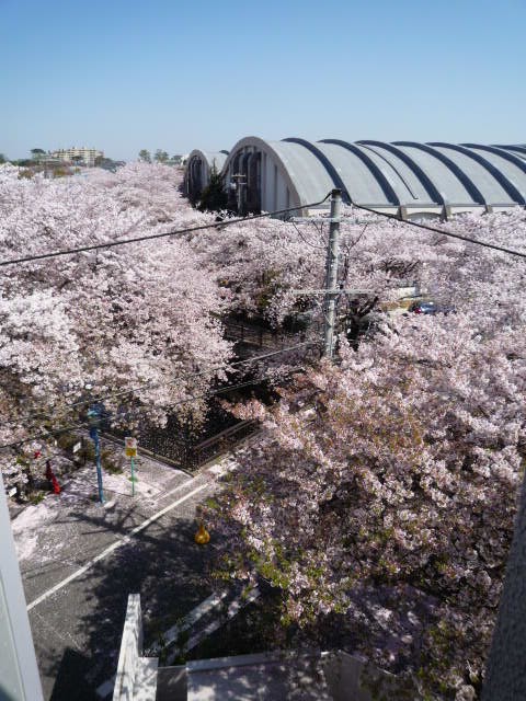 f0101201_21422193.jpg