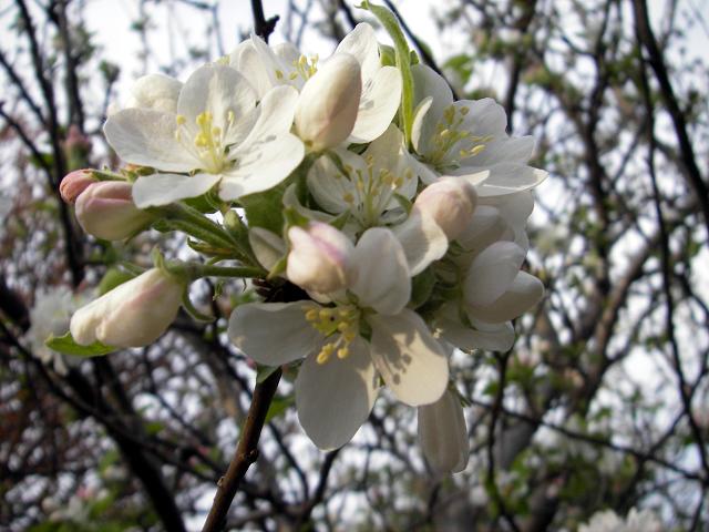 f0034602_18503521.jpg