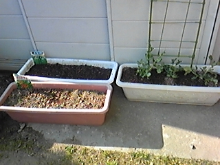 f0143202_16125643.jpg