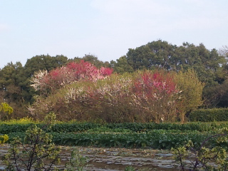 f0144003_21215618.jpg