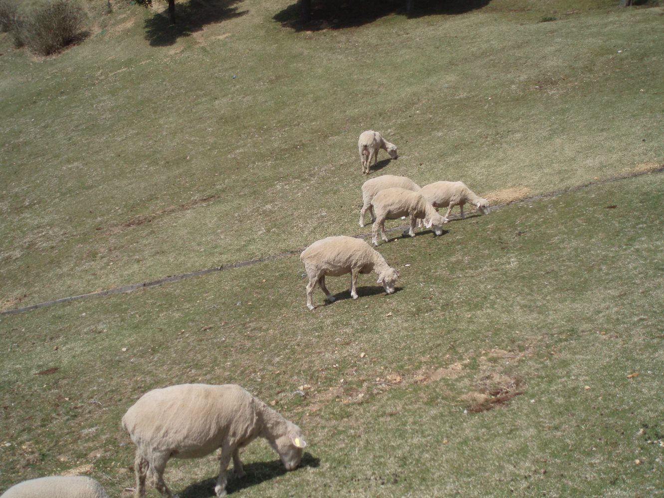 c0098304_21161055.jpg