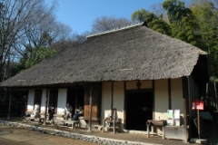 d0052904_1636390.jpg