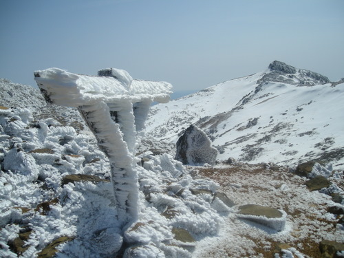 e0083204_0104596.jpg