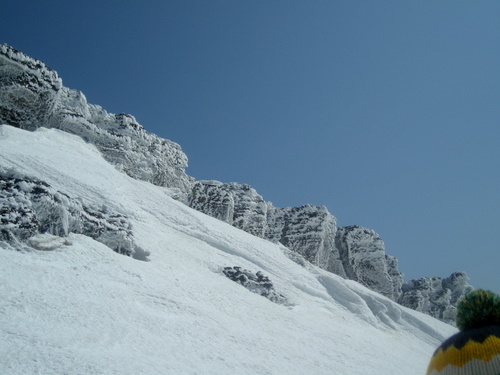 e0083204_0174778.jpg