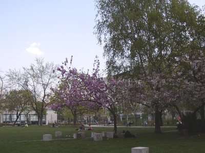 f0021504_4194315.jpg