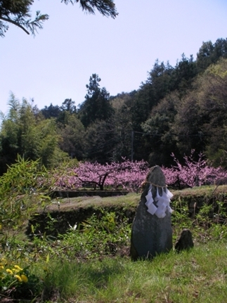 e0135906_13111632.jpg