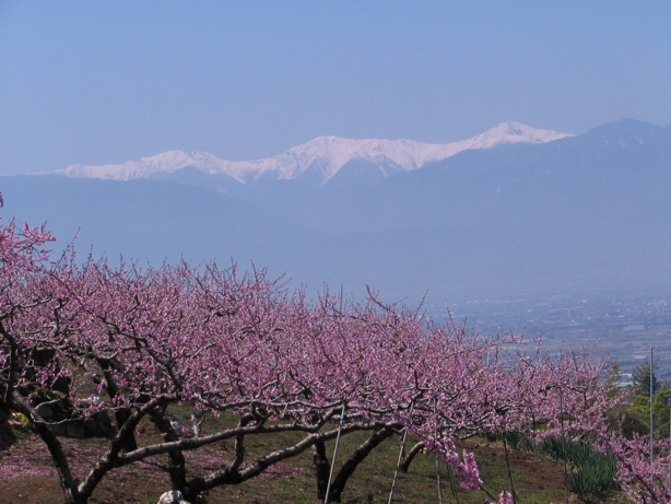 e0135906_1322422.jpg