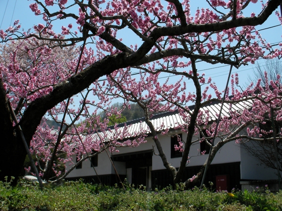e0135906_1332404.jpg