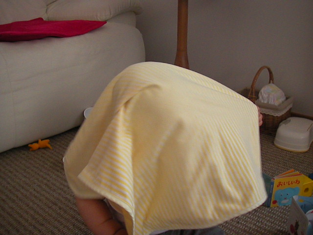 f0038407_11411658.jpg