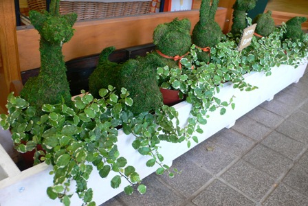 f0167007_17261444.jpg