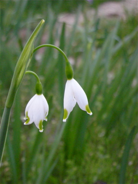 c0145209_23101117.jpg