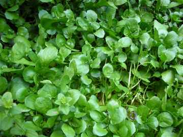 c0145209_23172989.jpg