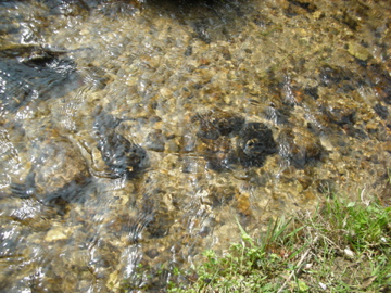 c0145209_23362317.jpg