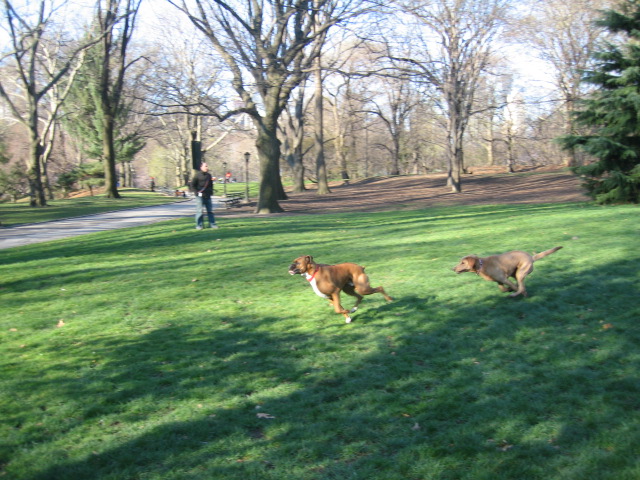 f0036409_1029426.jpg