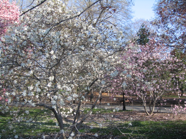 f0036409_10445391.jpg