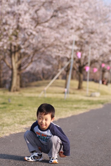 sakura photo　と挫折感・・・_f0194109_16442669.jpg