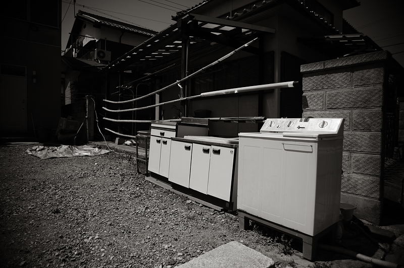 近江八幡桜の季節・町中編_f0032011_19425399.jpg