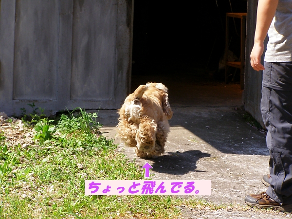 マリちゃんだって、負けないぞ_b0067012_20282836.jpg