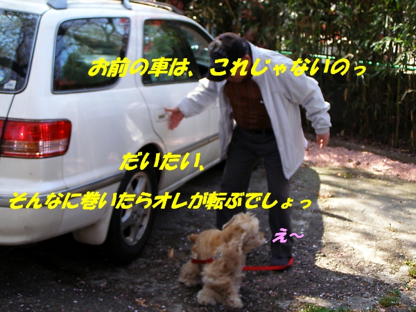 マリちゃんだって、負けないぞ_b0067012_20284364.jpg