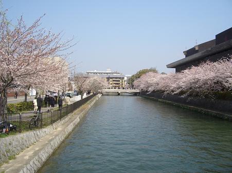 e0033713_8583554.jpg