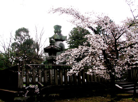 e0048413_2231048.jpg