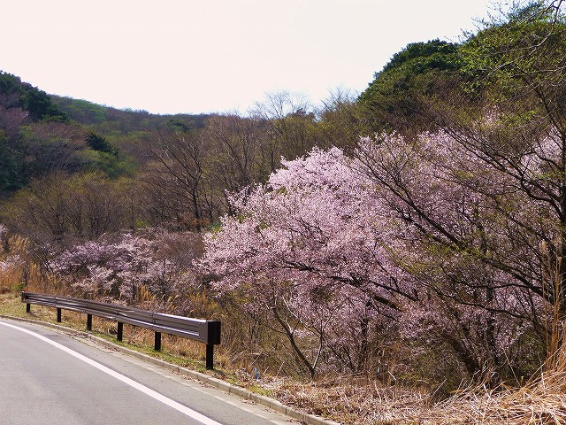 f0182513_2334261.jpg