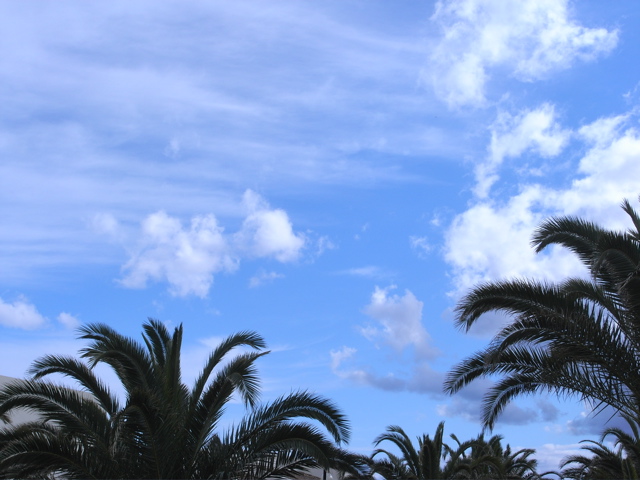 a0117915_19411126.jpg