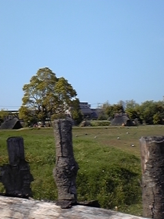 e0114015_15542934.jpg