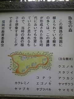 e0114015_1611079.jpg